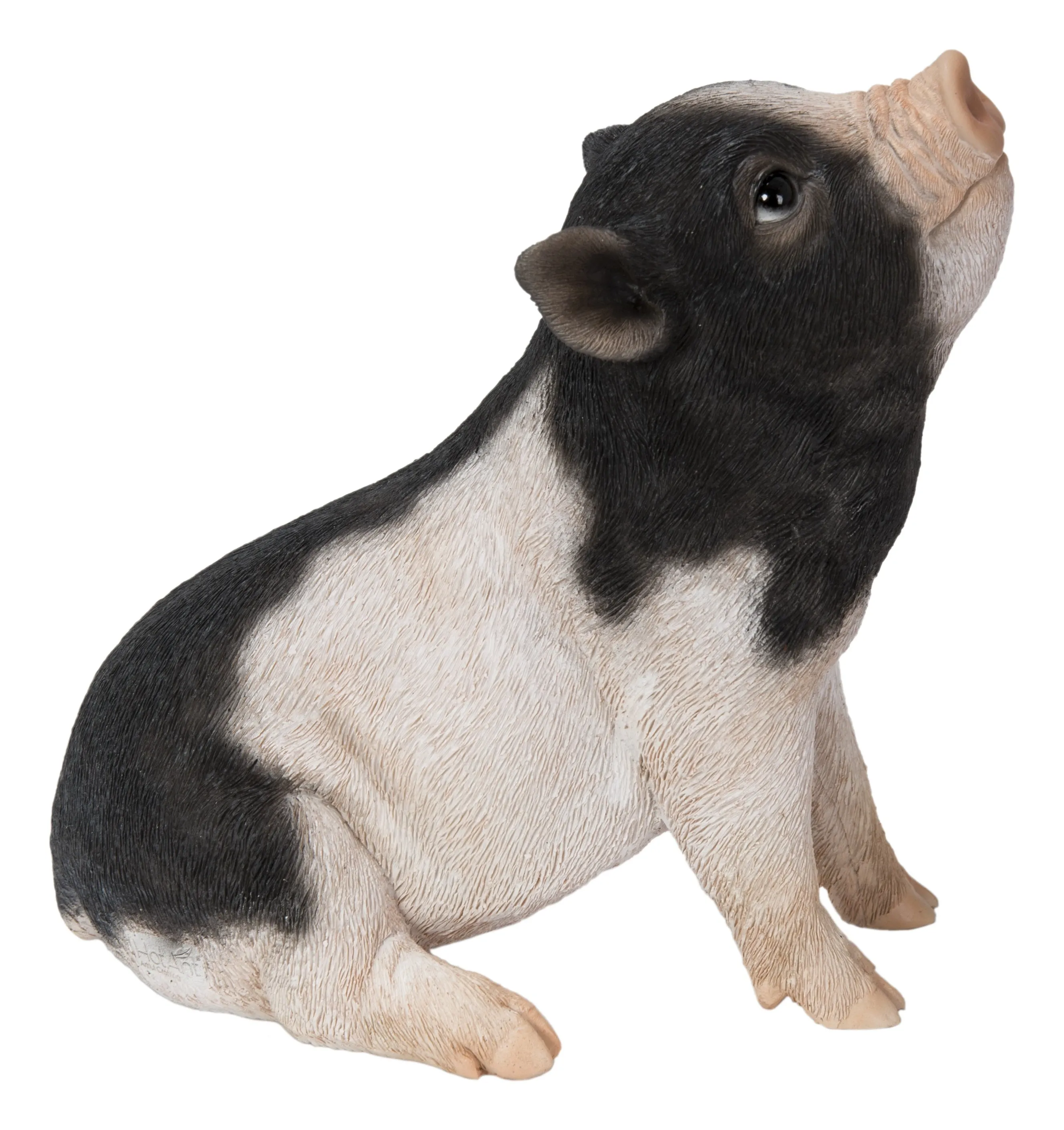 Baby Pig Sitting - Black And White