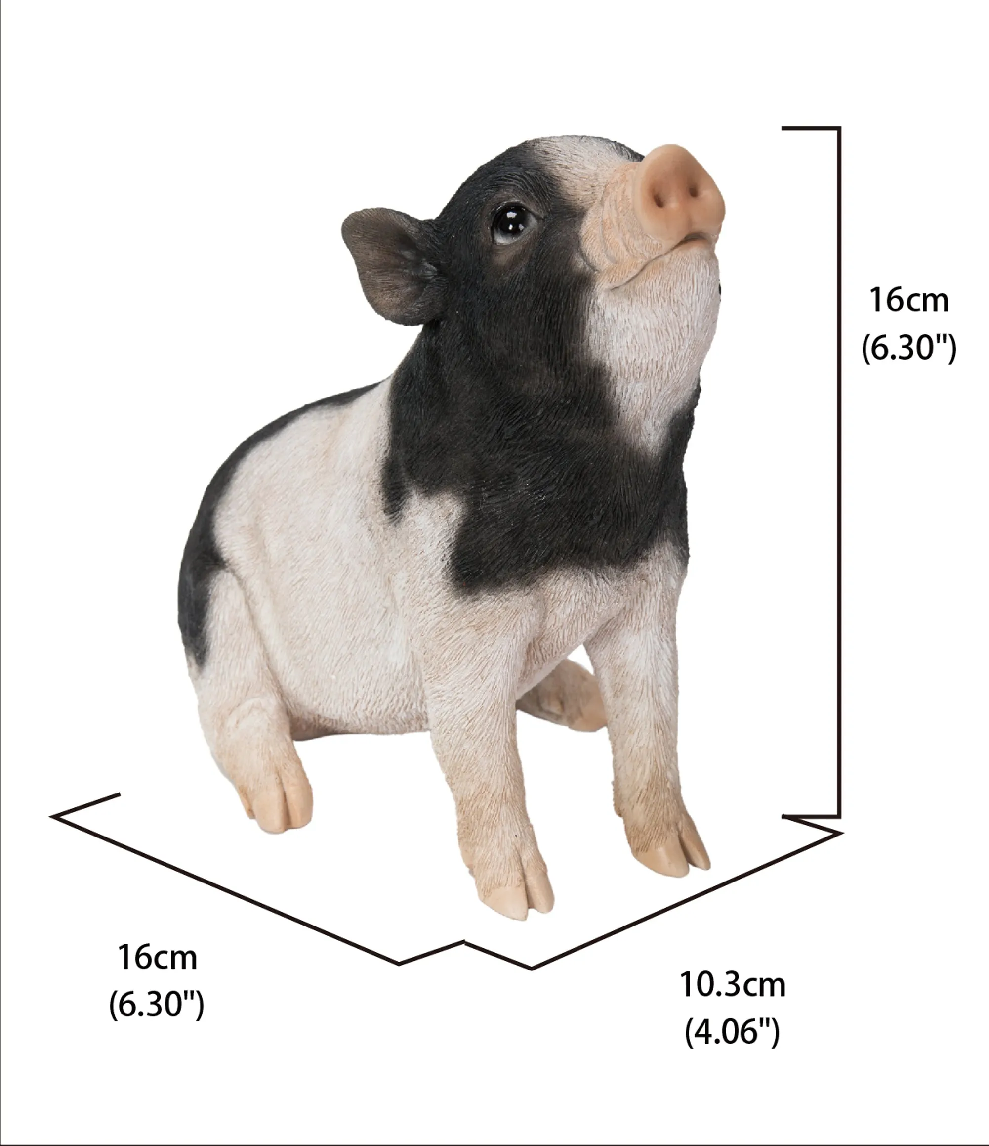Baby Pig Sitting - Black And White