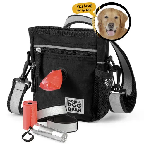 Day/Night Walking Bag ~ Black