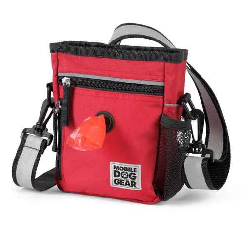 Day/Night Walking Bag ~ Black