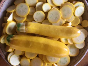 Golden  Zucchini