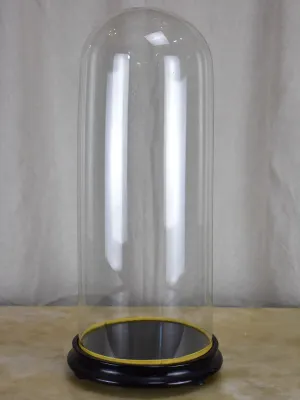 Large antique French glass dome - Napoleon III