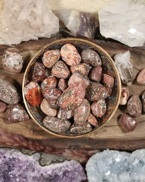 Leopard Skin Jasper Tumbled