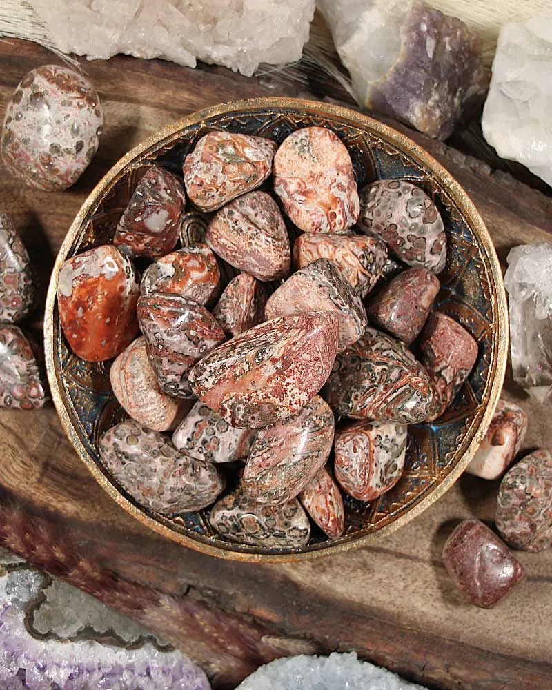 Leopard Skin Jasper Tumbled