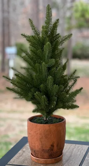 Life Like Fir Tree