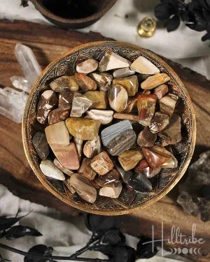 Petrified Wood Tumbled