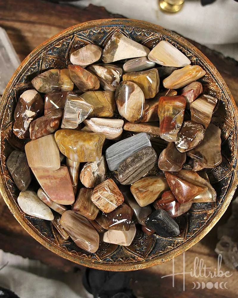 Petrified Wood Tumbled