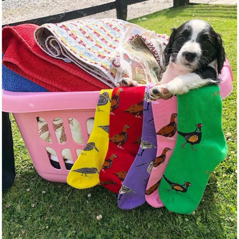 Shuttle Socks - Pink Standing Grouse Socks