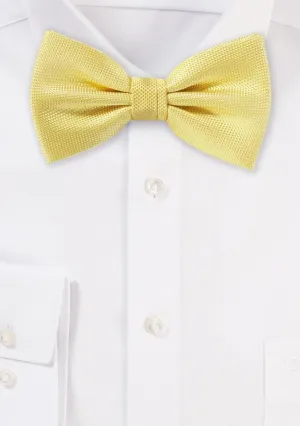 Sun Yellow MicroTexture Bowtie