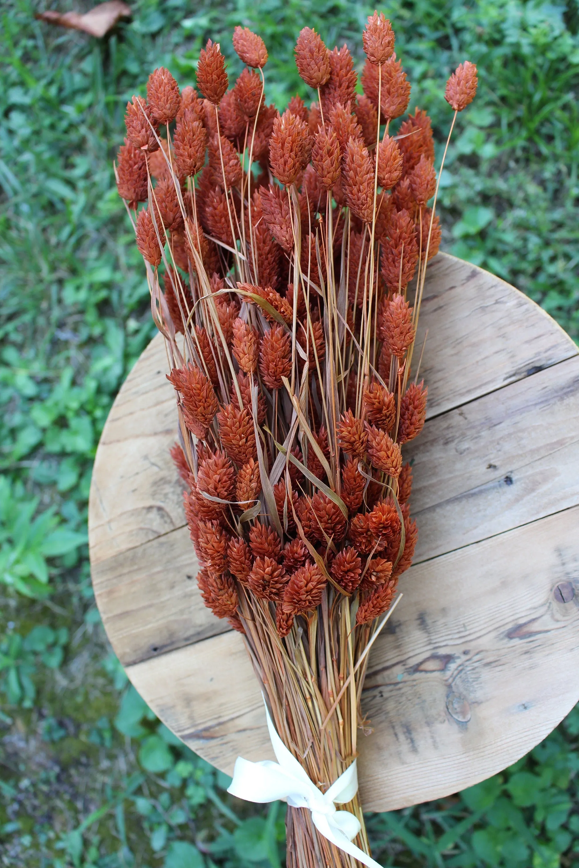 Terracotta Burnt Orange Phalaris/ Textured Bunny Tails